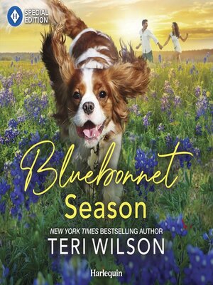cover image of Bluebonnet Season